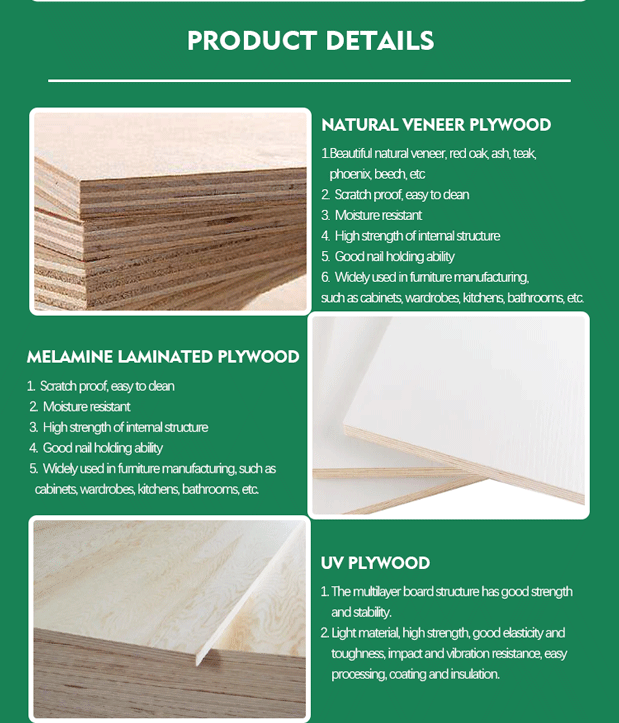 commercial plywood (5)