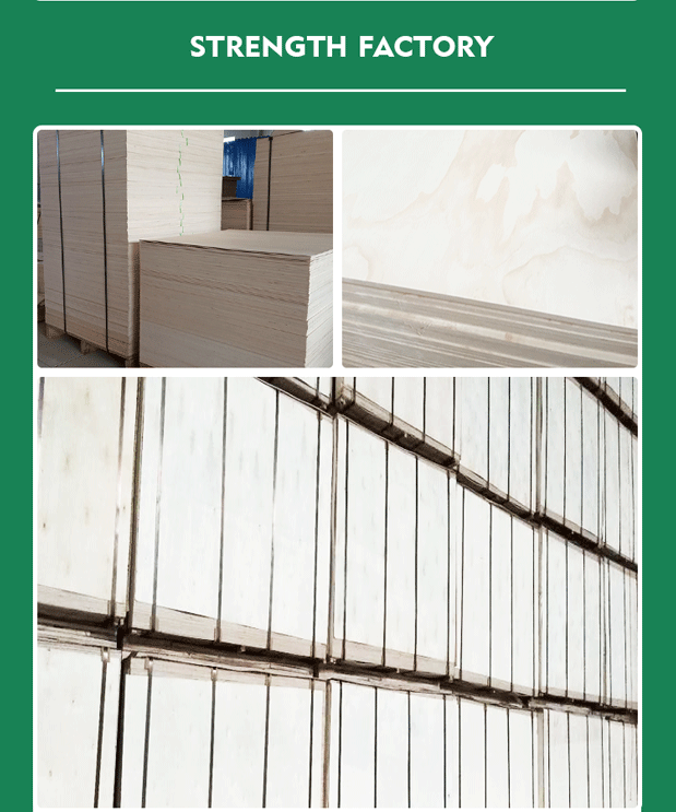 commercial plywood (7)